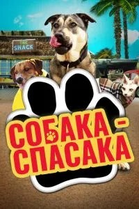 Собака-рятувальник