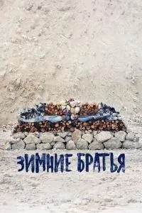 Зимові брати