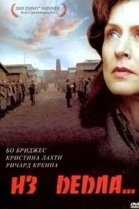З попелу