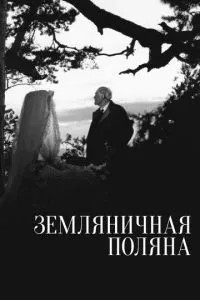 Сунична галявина