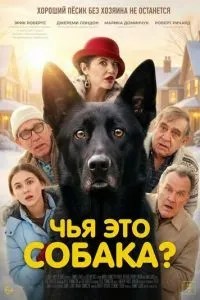 Чий це собака?