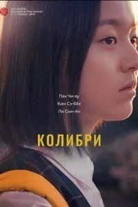 Колібрі