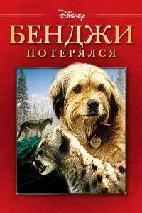Бенджі загубився