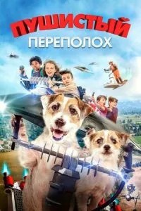Пухнастий переполох