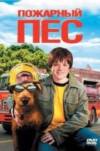 Пожежний пес