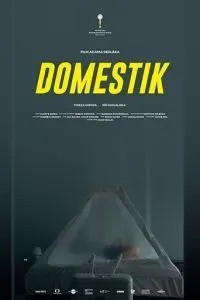Домашній режим