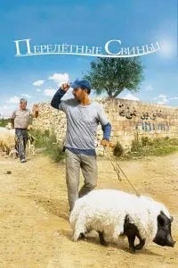 Перелітні свині