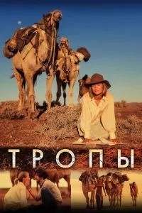 Стежки