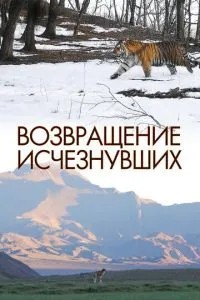 Повернення зниклих