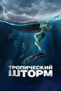 Тропічний шторм