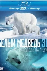 Полярні ведмеді