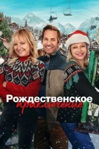 Різдвяна пригода