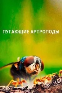 Страхітливі артроподи