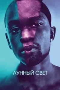 Місячне світло