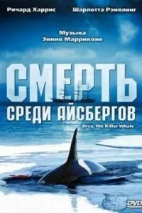 Смерть серед айсбергів
