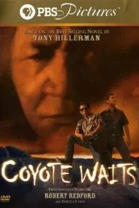 Coyote Waits