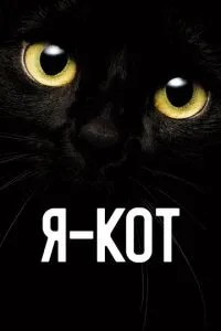 Я - кіт