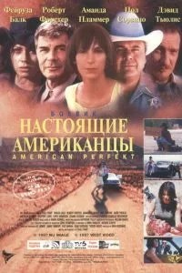 Американська досконалість