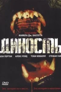 Дикість