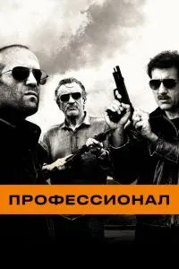 Професіонал