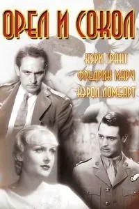 Орел та сокіл