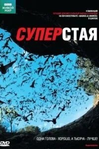 BBC: Суперста