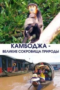 Камбоджа – великі скарби природи