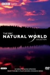 BBC: Живий світ