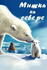 Ведмедик на Півночі