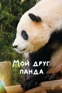 Мій друг панда
