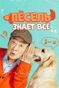 Песіль знає все