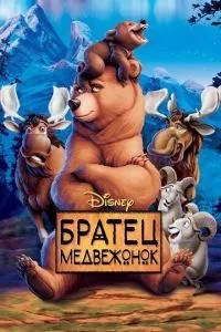 Братець ведмежа