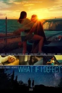 What if I Defect?