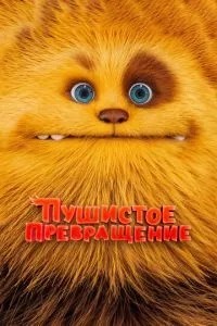 Пухнасте перетворення