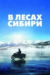 У лісах Сибіру