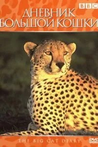 Щоденник великого кота
