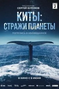 Кіти: Стражі планети