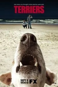 Тер\'єри