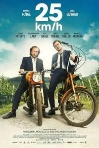 25 км/год