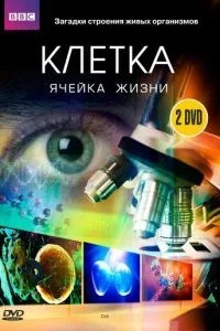 BBC: Клітина