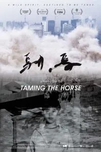 Taming the Horse
