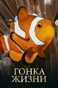 Гонка життя