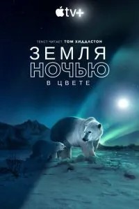 Земля вночі у кольорі