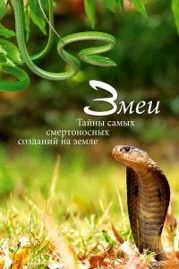 Змії. Таємниці смертоносних створінь на землі