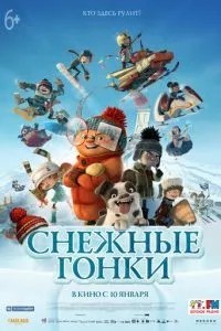 Снігові гонки