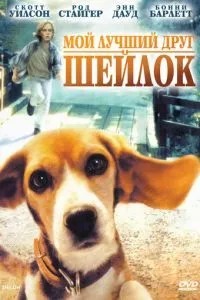 Мій найкращий друг Шейлок