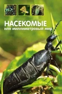 Комахи, або Міліметровий світ