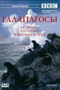 Галапагоси / Ґалапаґоси