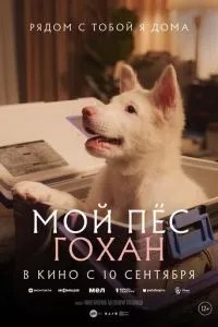 Мій пес Гохан