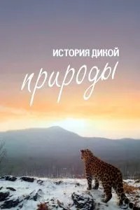 Історія дикої природи